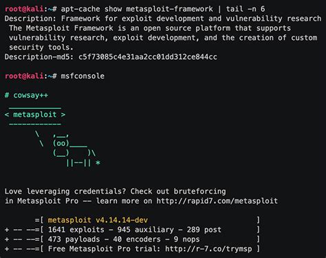 metasploit chanel 5 created